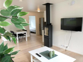 Saltvold Leilighet nr 2 Røldal